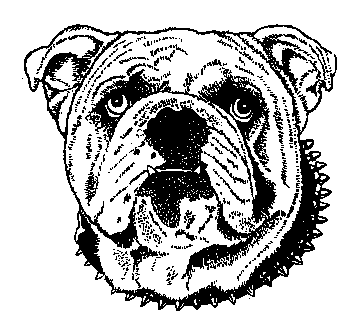 Bulldog Machine Inc.